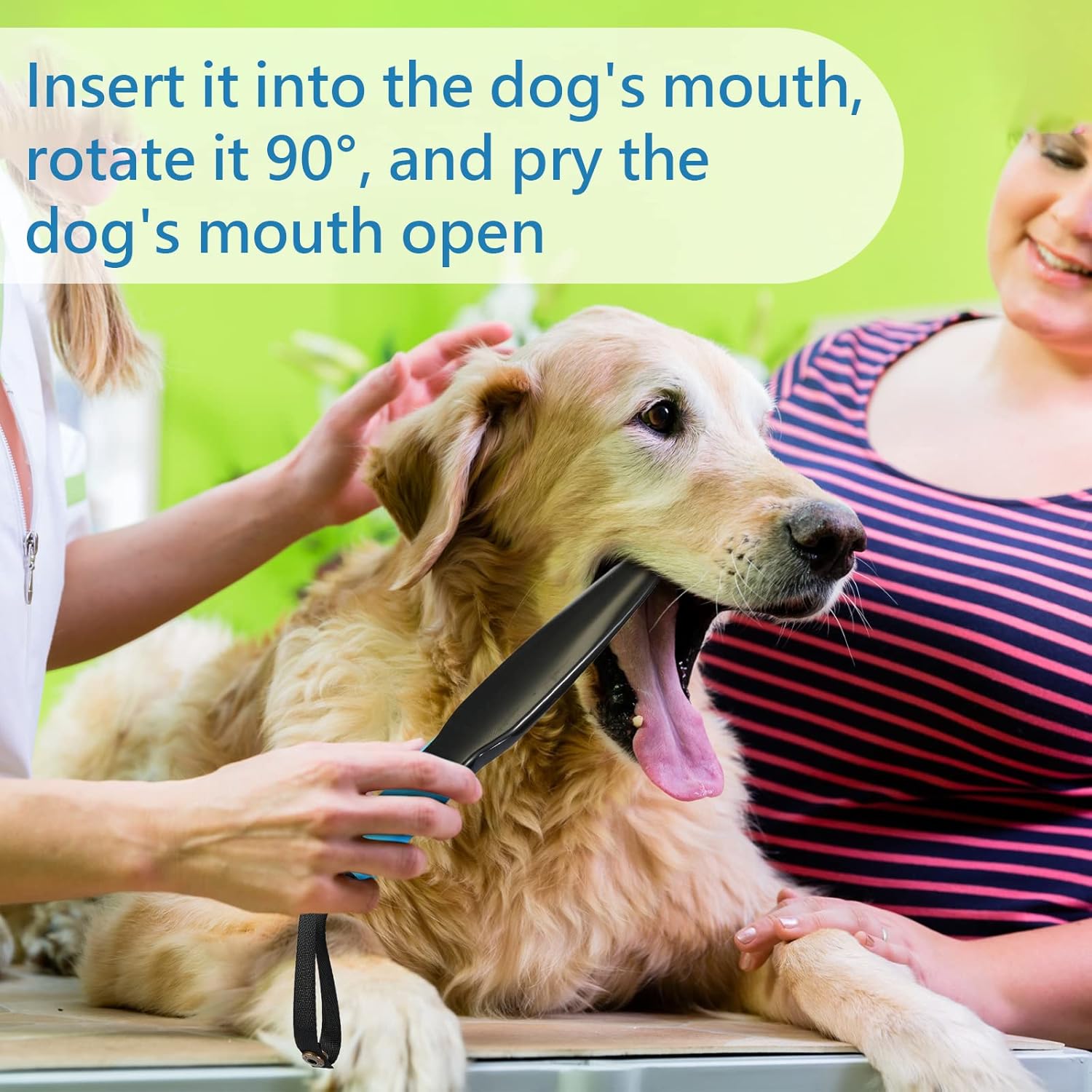 Dog Stick No Bite Dog Training For Small Medium & Large Dogs