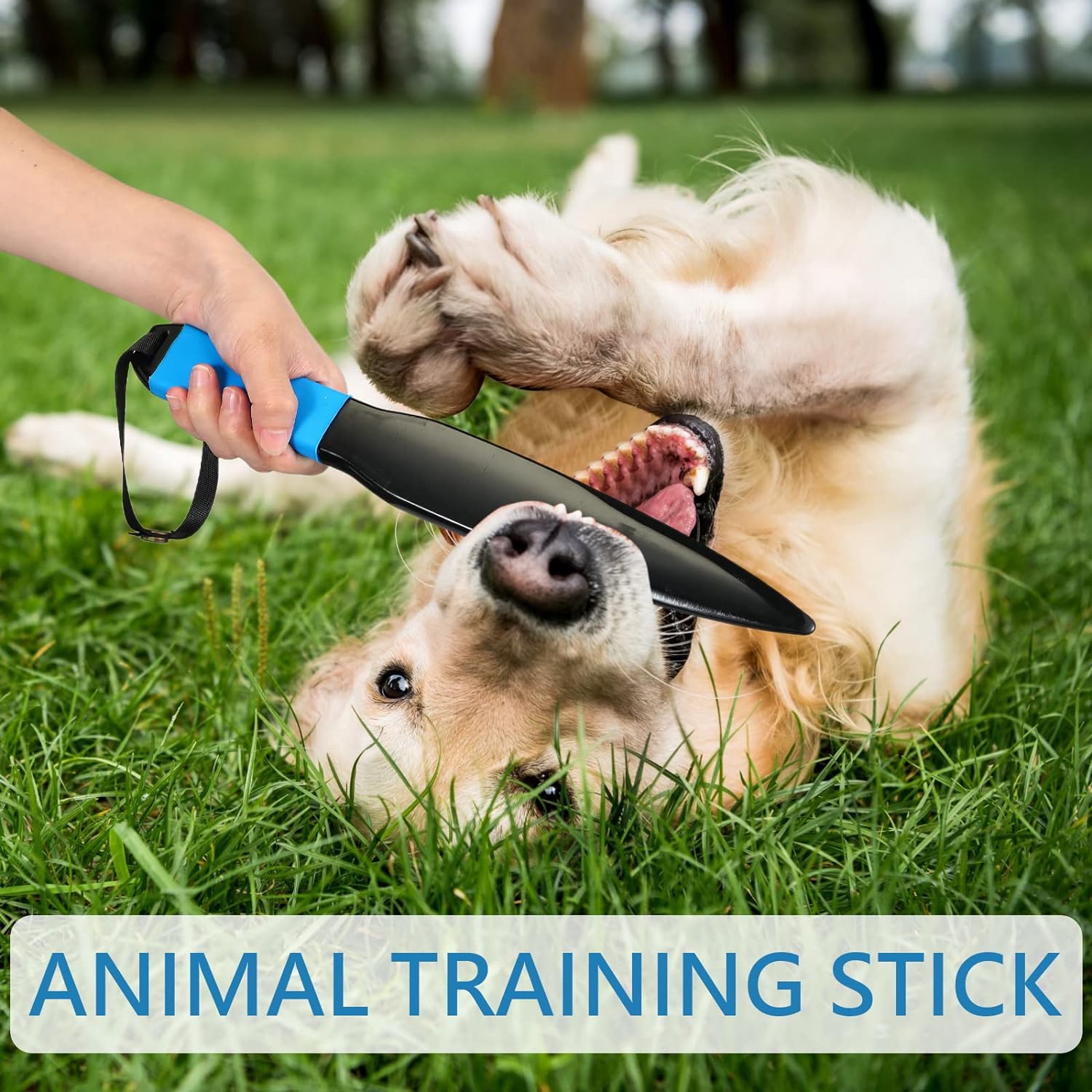 Dog Stick No Bite Dog Training For Small Medium & Large Dogs