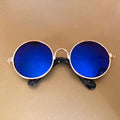 Swaggy Dog Sunglasses