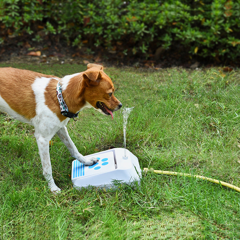 Outdoor Dog Water Feeder